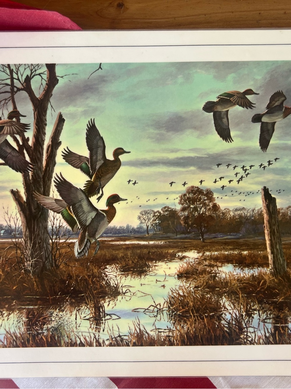 Vintage Duck Marsh Print Dinner Place Mat- Green & Brown Scenic Wildlife Art